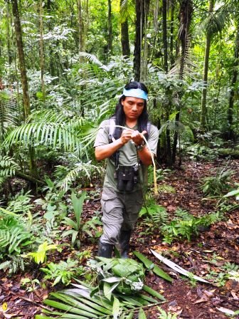 Sample Tours Image Amazon Low