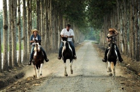 Sample Tours Image Milagro
